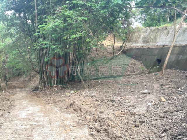 太平山坡地_林地-11