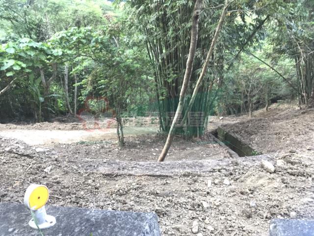 太平山坡地_林地-12