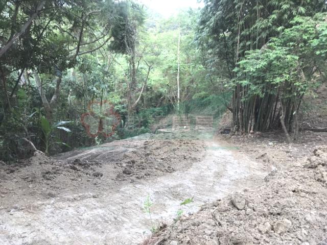 太平山坡地_林地-13