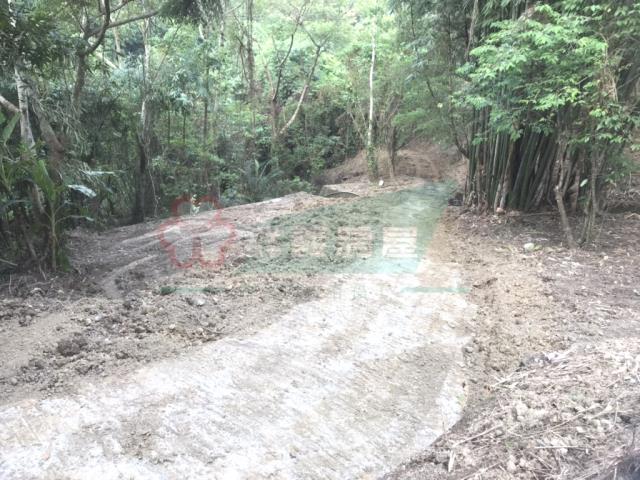 太平山坡地_林地-15