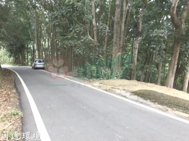 太平山坡地_林地-7