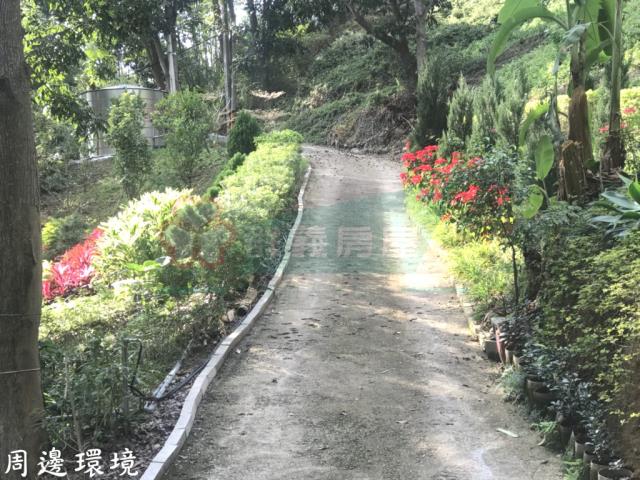 太平山坡地_林地-8