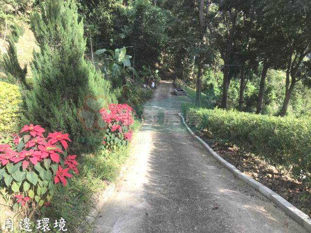 太平山坡地_林地-9