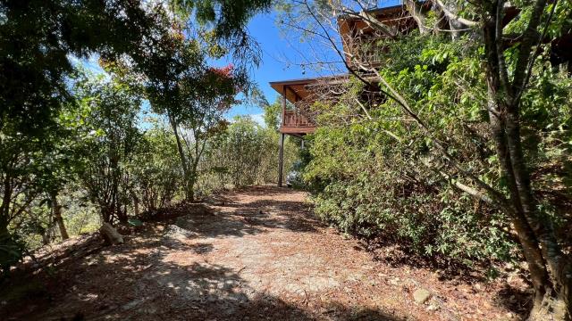 新竹峨眉山坡地_休閒地_林地-13