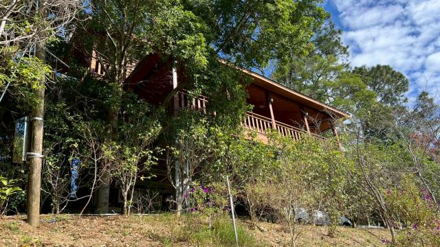 新竹峨眉山坡地_休閒地_林地-1