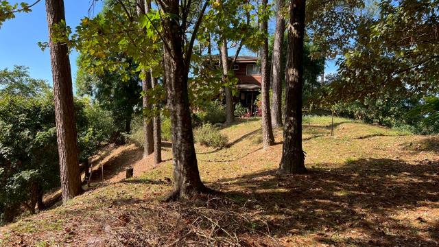 新竹峨眉山坡地_休閒地_林地-8