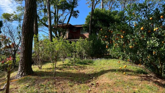 新竹峨眉山坡地_休閒地_林地-9