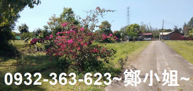 苗栗通霄農地_建地-10