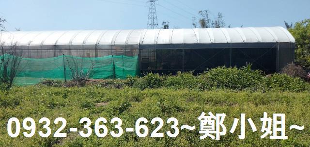 苗栗通霄農地_建地-12