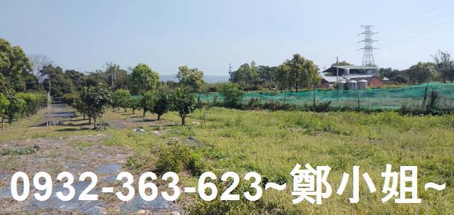 苗栗通霄農地_建地-14