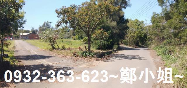 苗栗通霄農地_建地-15