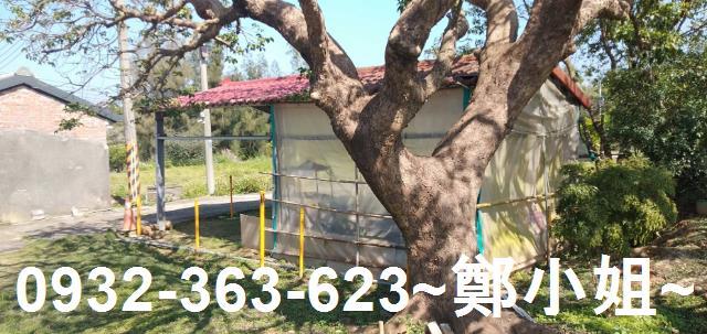 苗栗通霄農地_建地-3