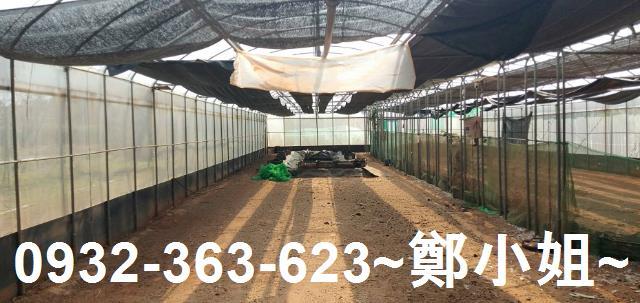 苗栗通霄農地_建地-4