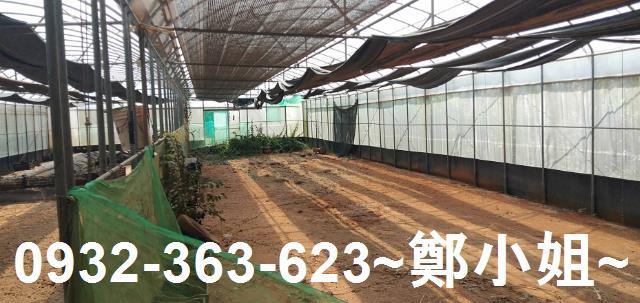 苗栗通霄農地_建地-5