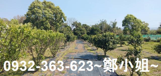 苗栗通霄農地_建地-7