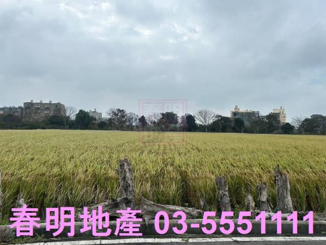 新竹竹北農地-2