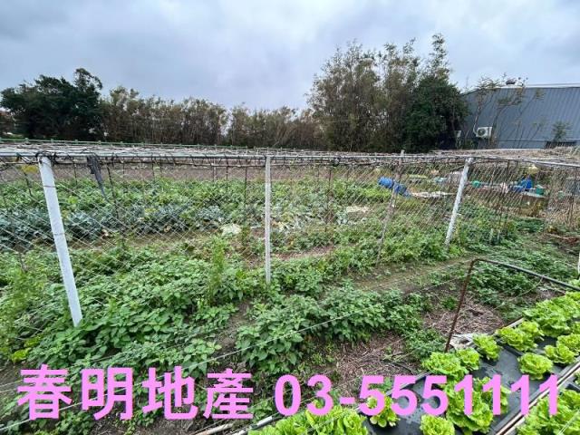 新竹竹北農地-5