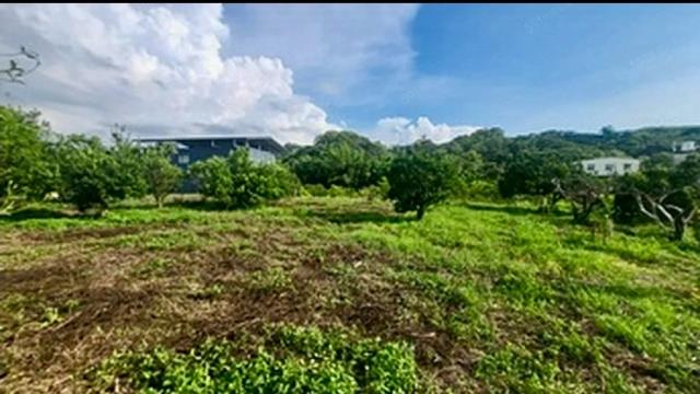 苗栗頭份農地_山坡地_休閒地-1