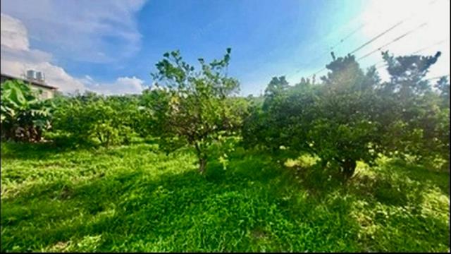 苗栗頭份農地_山坡地_休閒地-2