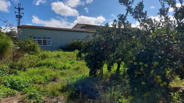 苗栗頭份農地_山坡地_休閒地-4