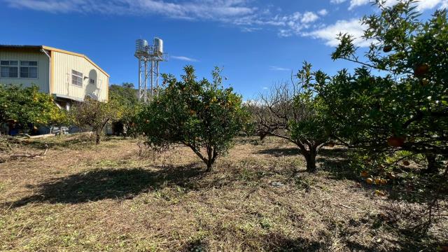苗栗頭份農地-4