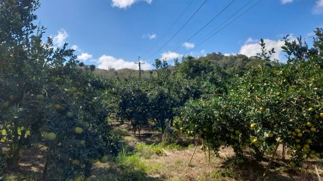 苗栗頭份農地_山坡地_休閒地-6