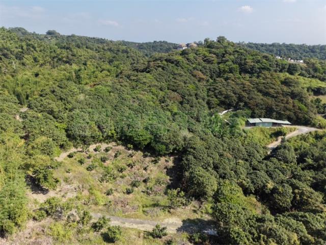 高雄大樹農地-1