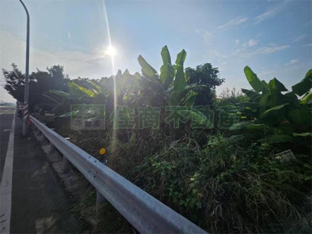 高雄大樹農地-7