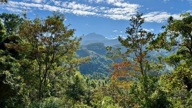 新竹北埔山坡地_休閒地_林地-11