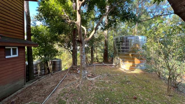 新竹北埔山坡地_休閒地_林地-12