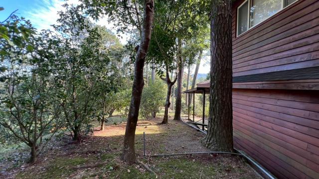 新竹北埔山坡地_休閒地_林地-13