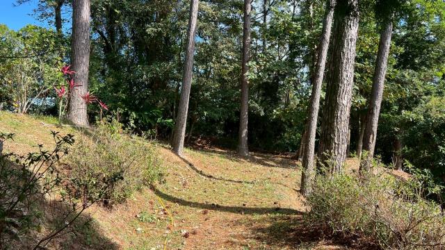 新竹北埔山坡地_休閒地_林地-14