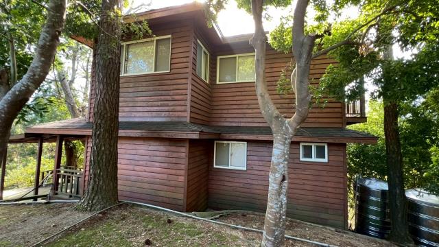 新竹北埔山坡地_休閒地_林地-2