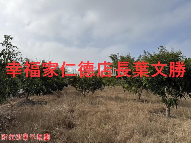關廟農地-14