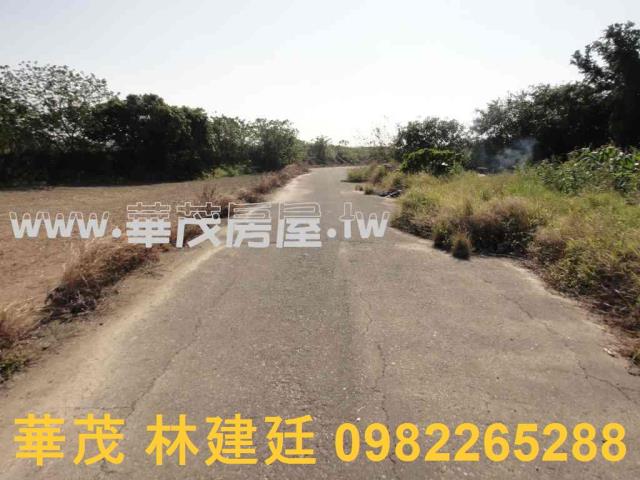 將軍法拍農地-1