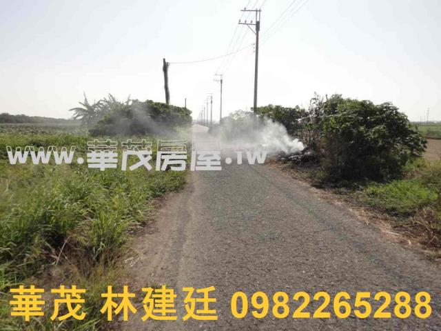 將軍法拍農地-5