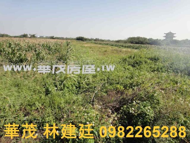 將軍法拍農地-6