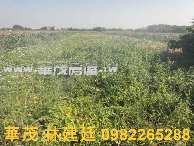 將軍法拍農地-7