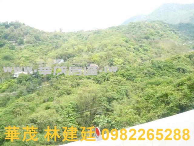 台南玉井農地法拍-3