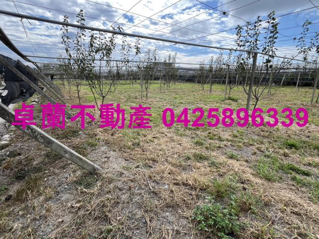 苗栗卓蘭農地-3