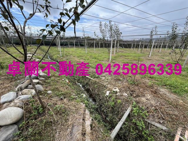 苗栗卓蘭農地-5