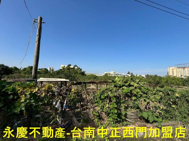 台南麻豆農地-10