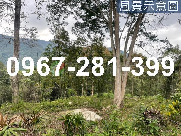 苗栗南庄農地_建地-10