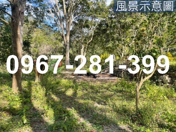 苗栗南庄農地_建地-9