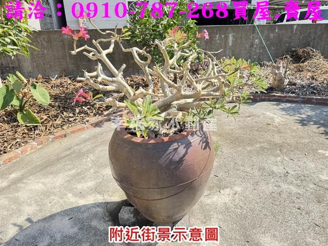 台南麻豆農地_建地-8