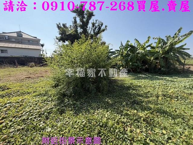 台南鹽水建地_住宅地-11