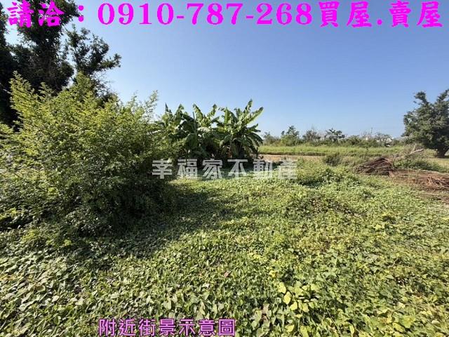 台南鹽水建地_住宅地-7