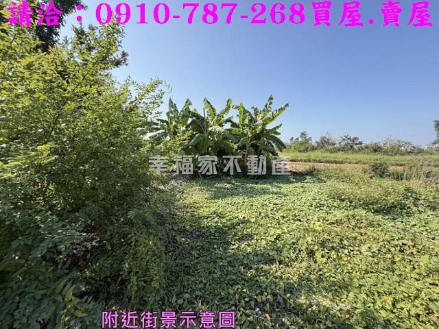 台南鹽水建地_住宅地-9