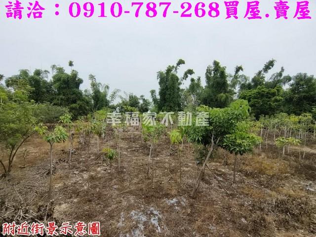 台南新市農地-13