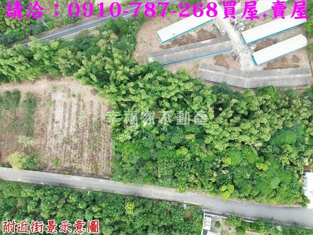 台南新市農地-4